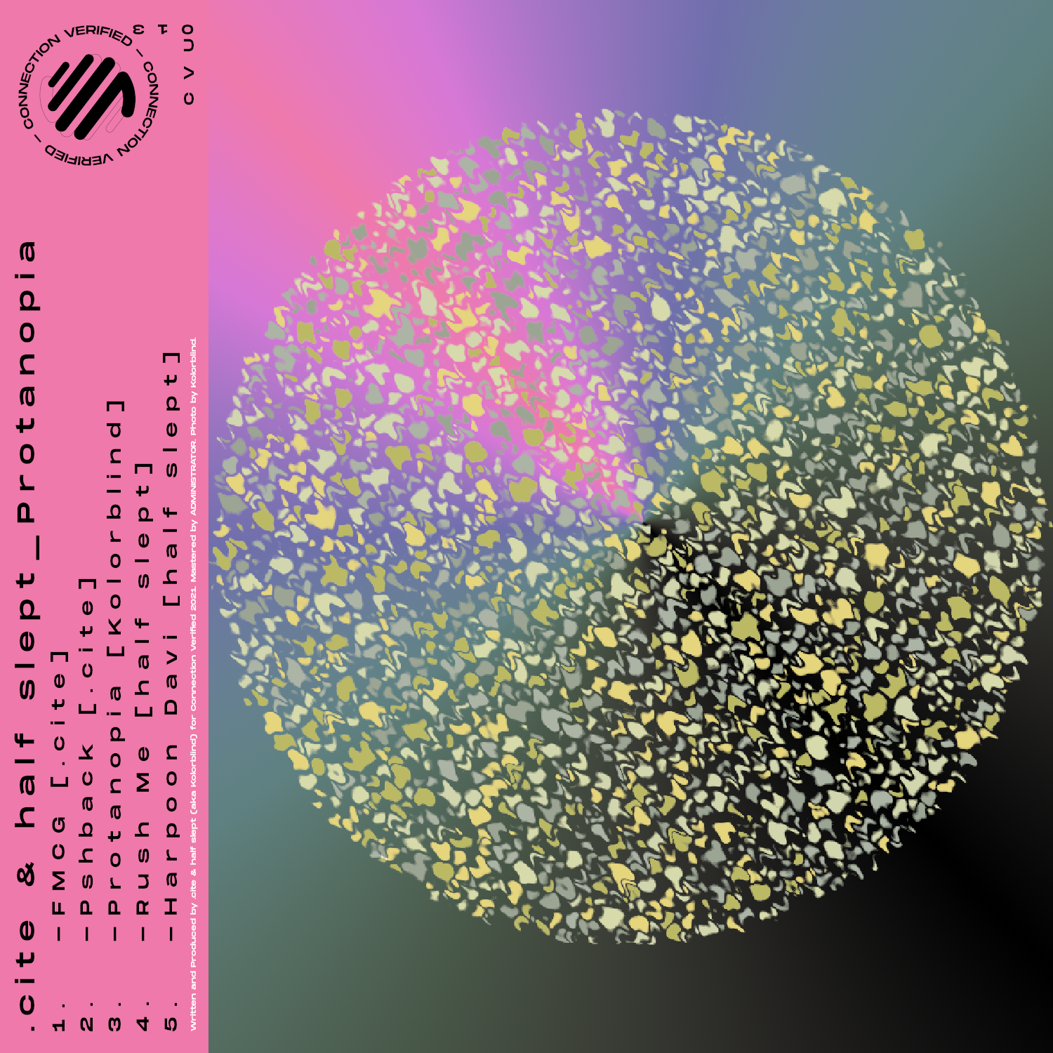 Connection Verified - Image 2